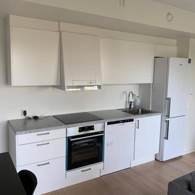 Scandpoint Apartment Fornebu Near Sea Front With Outdoor Walk! Stabekk Exterior photo